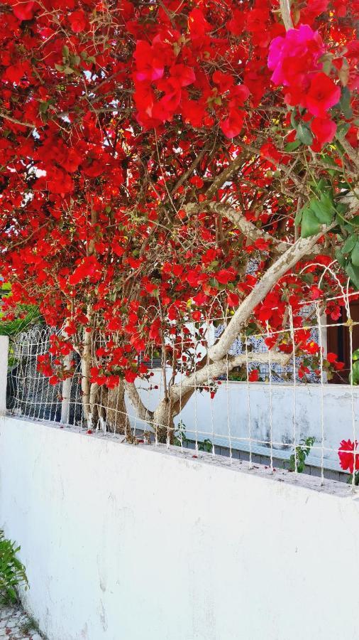 Arrabida Cozy House Villa Palmela Kültér fotó